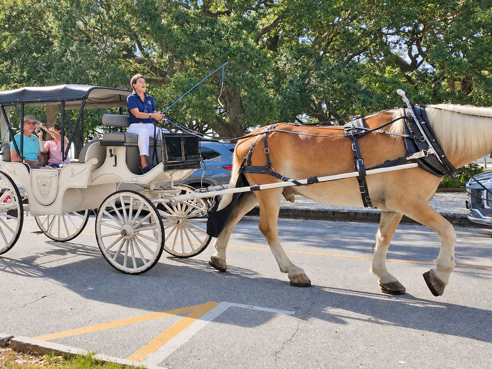 Horse carriage tour in downtown Charleston - photo by Irina Bordyn