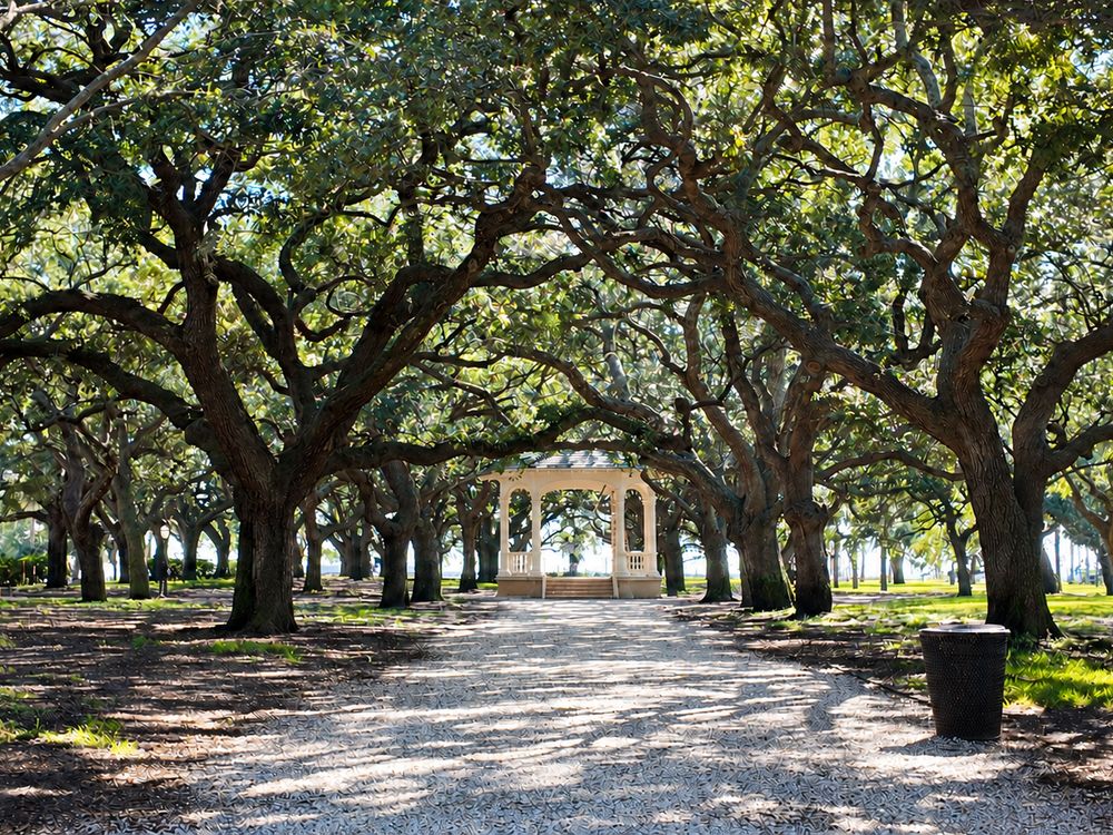 Oak-lined path to the White Point Garden pavilion - photo by Irina Bordyn