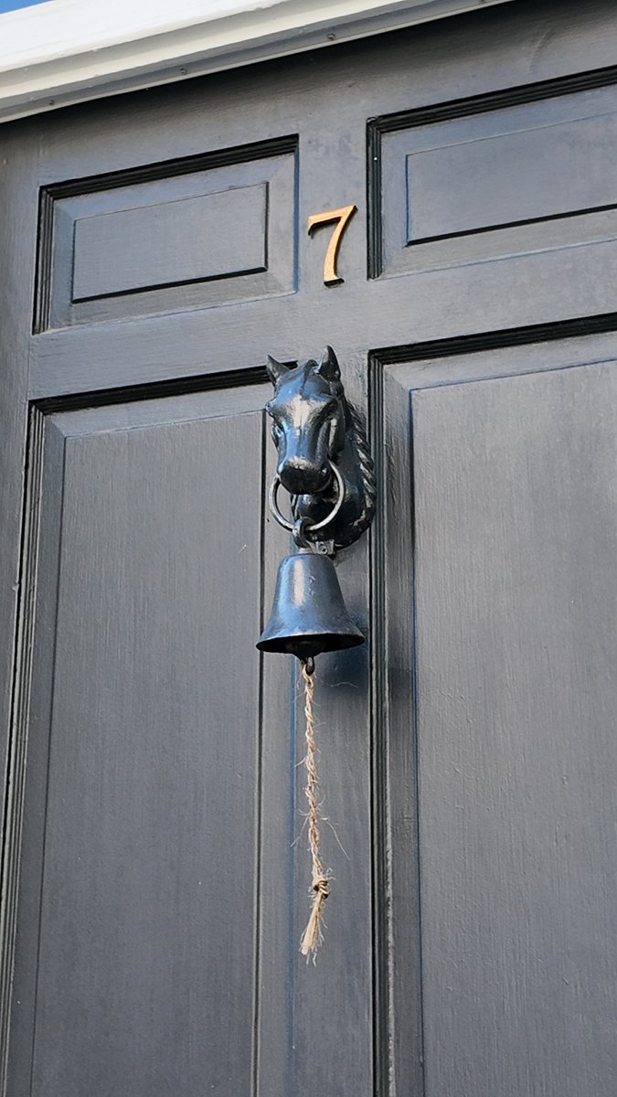Horse-head door knocker on a historic downtown Charleston door